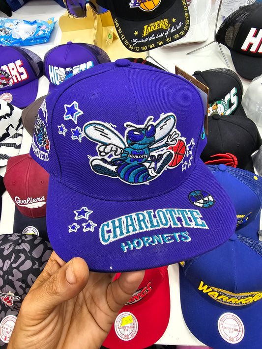 Hornets snapback purpura ALL OUT the Queen city