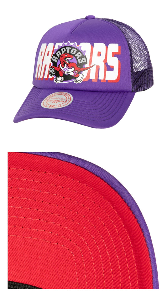 Trucker toronto raptors violeta M&N