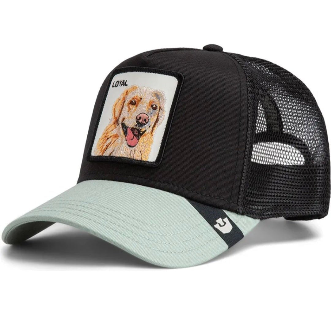 Gorra labrador retriever goorin bros bicolor negra verde - Mundogorrasgc