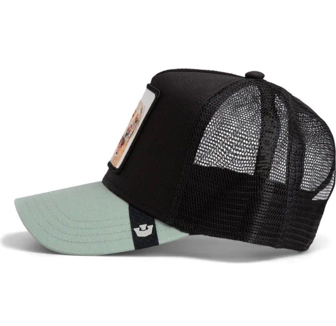 Gorra labrador retriever goorin bros bicolor negra verde - Mundogorrasgc