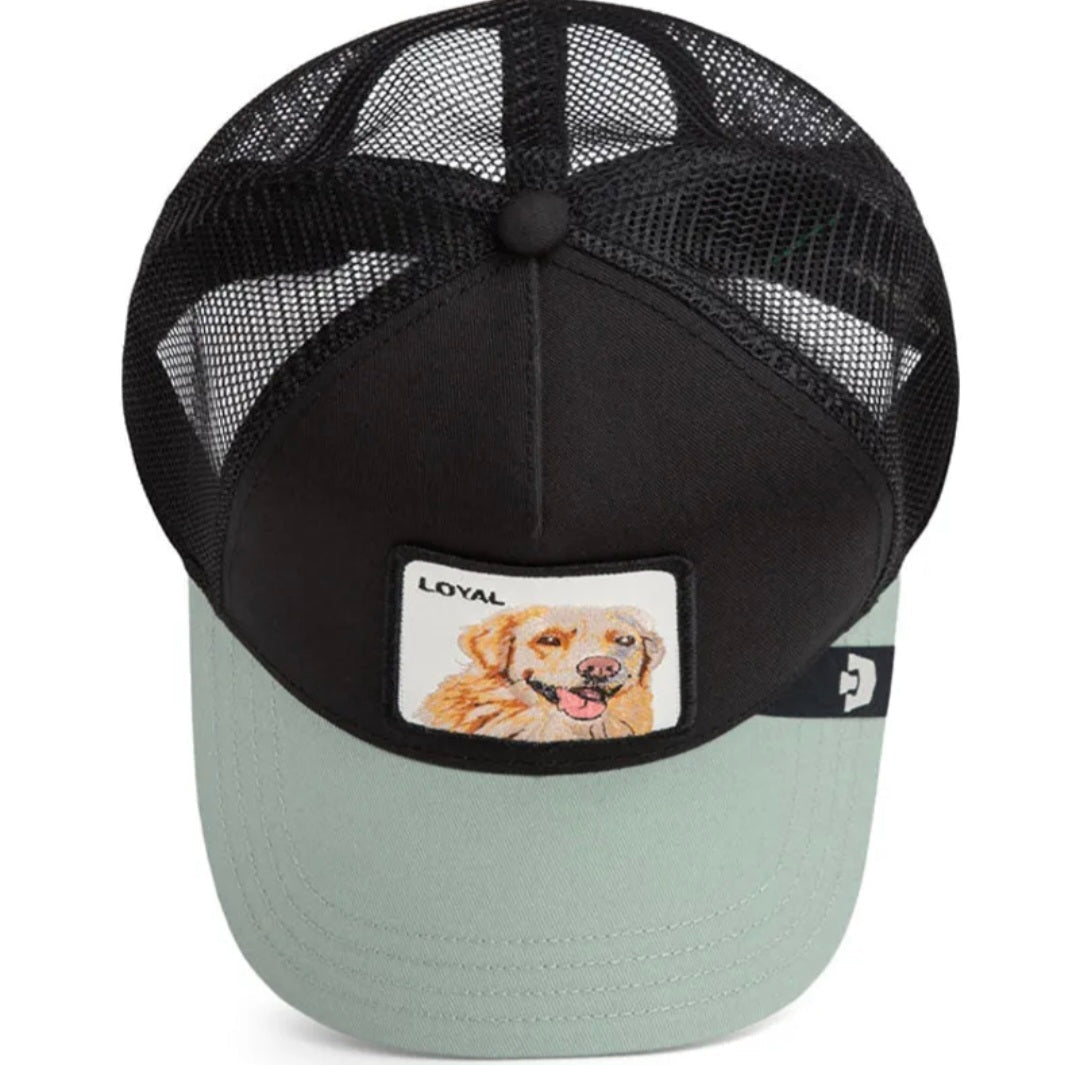 Gorra labrador retriever goorin bros bicolor negra verde - Mundogorrasgc