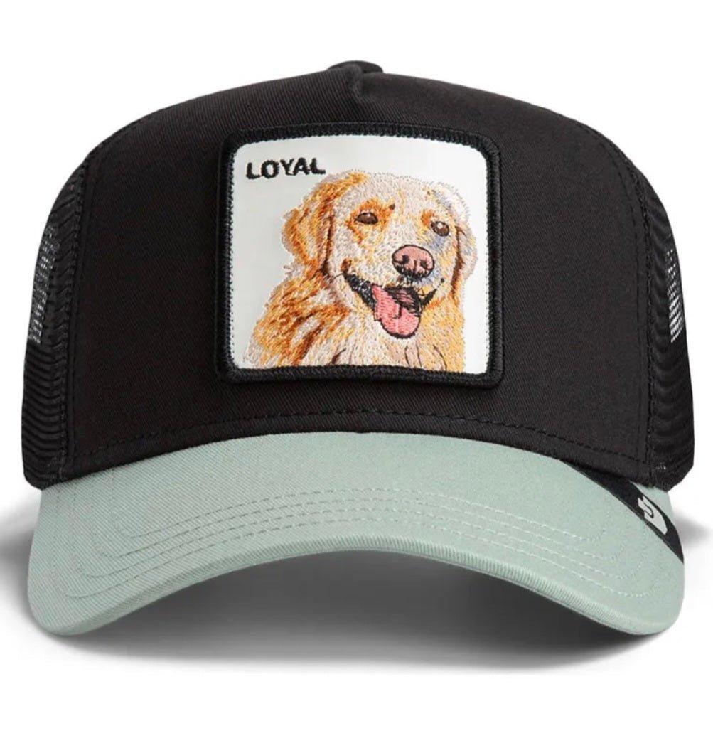 Gorra labrador retriever goorin bros bicolor negra verde - Mundogorrasgc