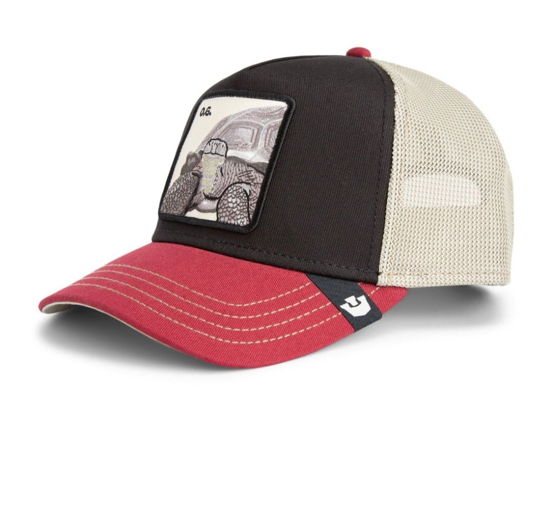 Gorra tortuga goorin bros tricolor - Mundogorrasgc