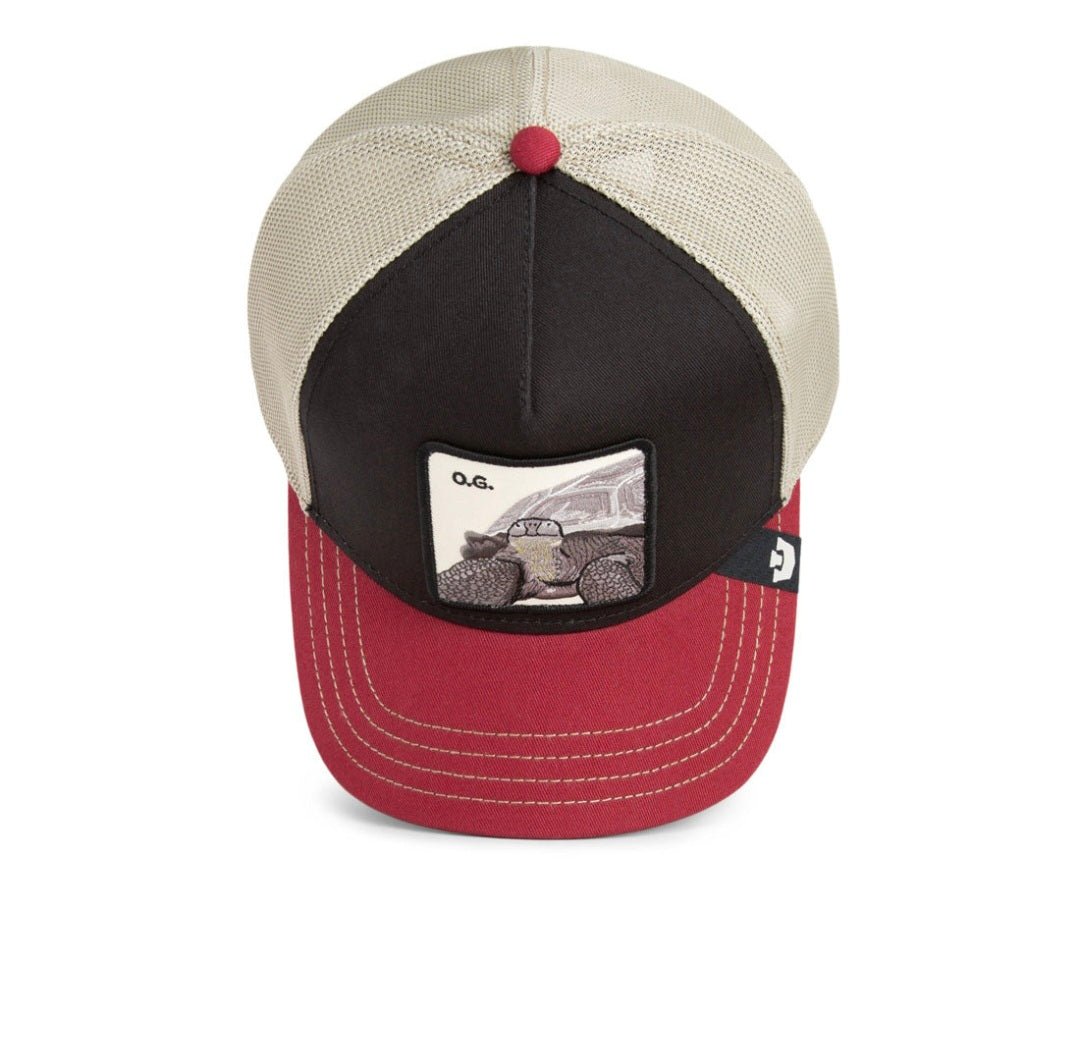 Gorra tortuga goorin bros tricolor - Mundogorrasgc