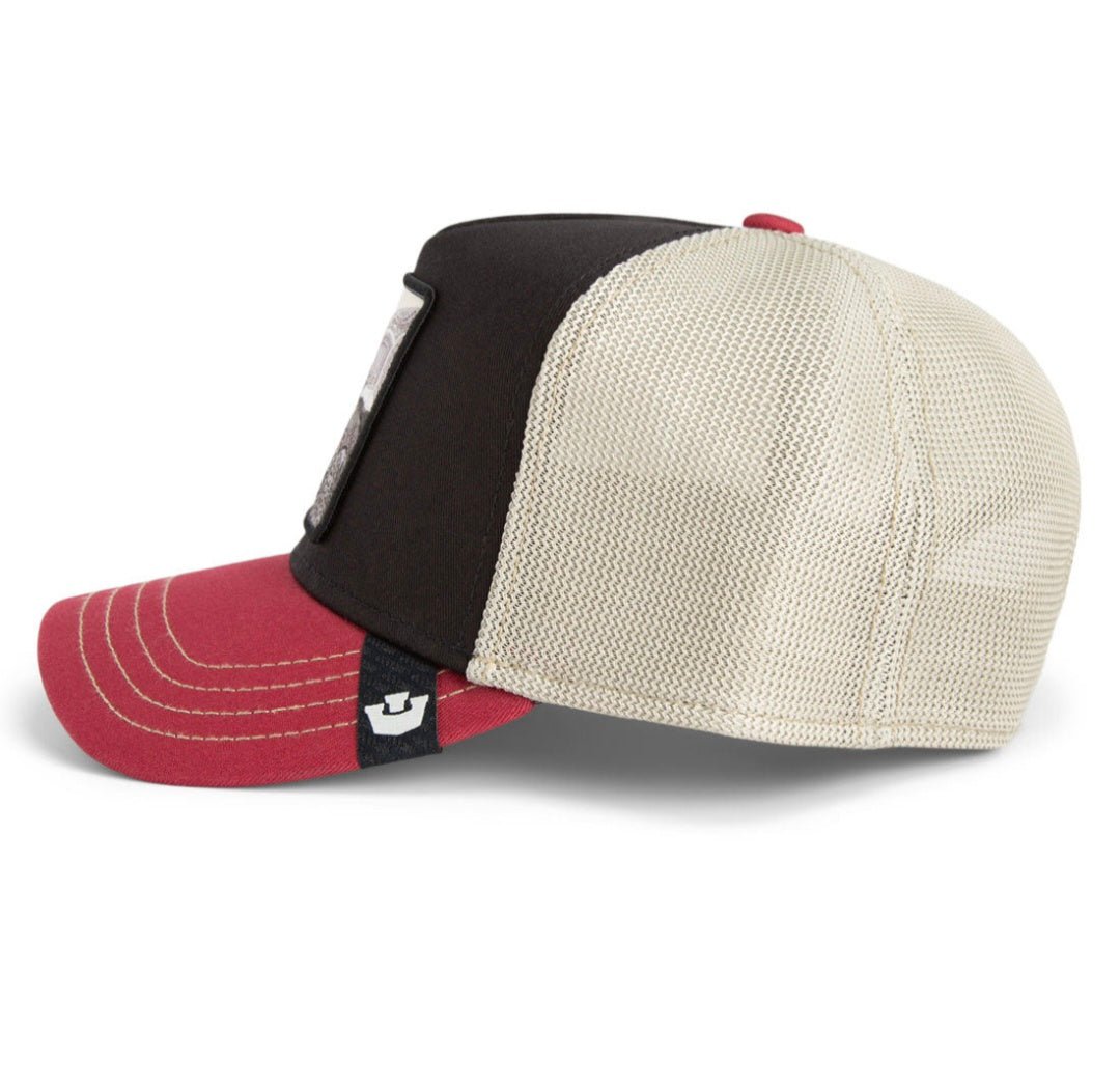 Gorra tortuga goorin bros tricolor - Mundogorrasgc