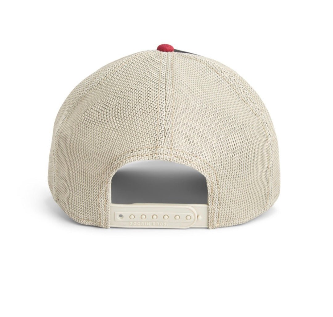 Gorra tortuga goorin bros tricolor - Mundogorrasgc