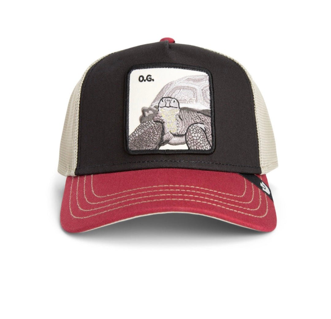 Gorra tortuga goorin bros tricolor - Mundogorrasgc