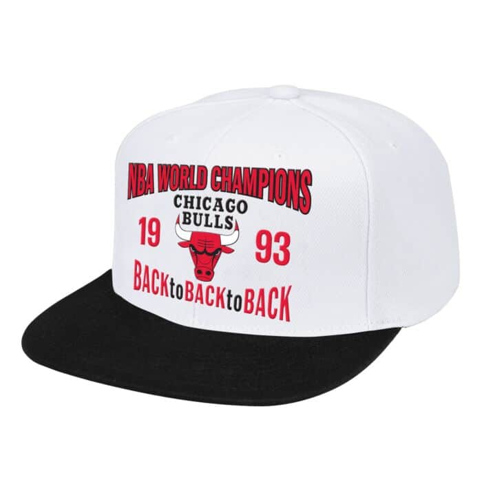 CHAMPIONS Retro Chicago Bulls blanca Back to 1993