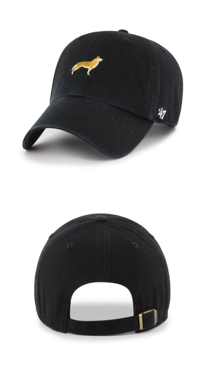 Gorra negra perro collie lassie 47 clean up